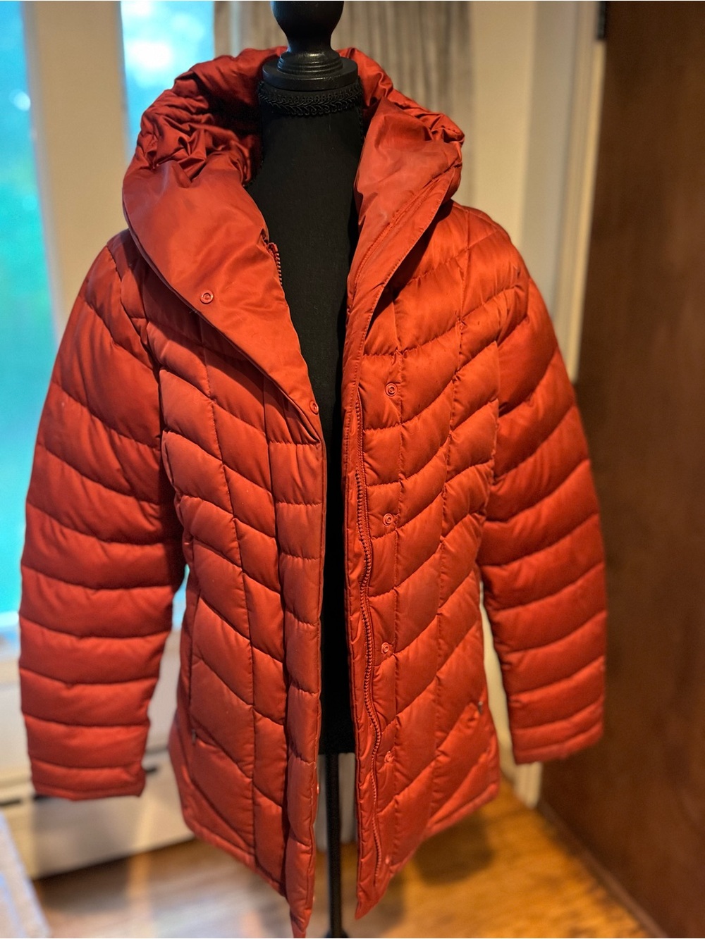 PATAGONIA goose down coat